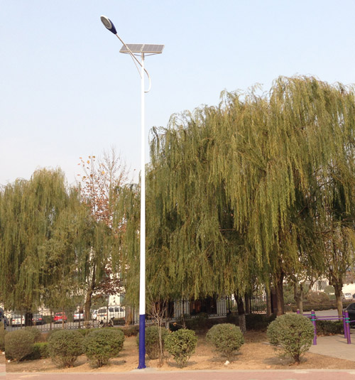 ̫���ͥԺ��